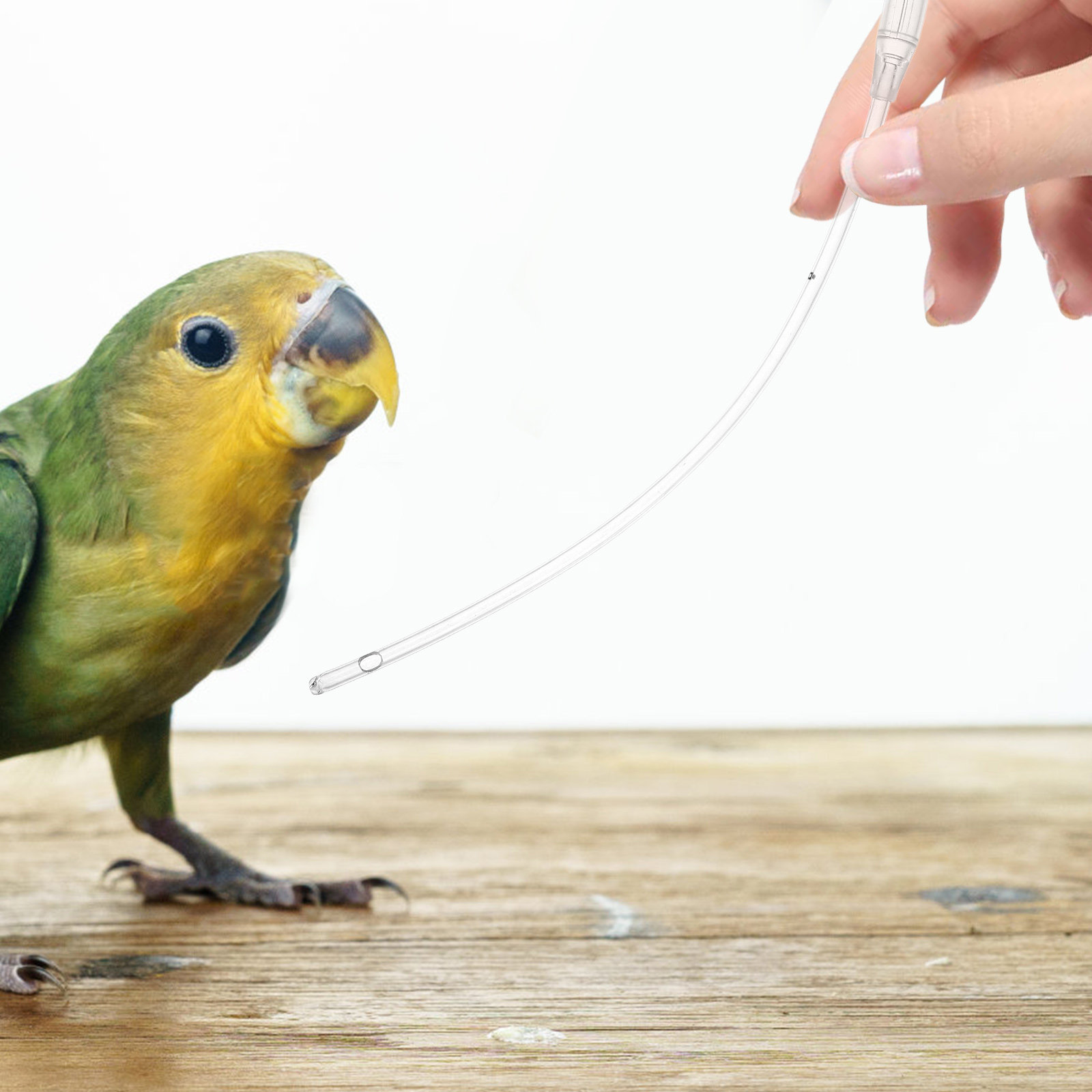 5Pcs Pet Feeding Hose Transpar - Pet Supplies Young recension och pris