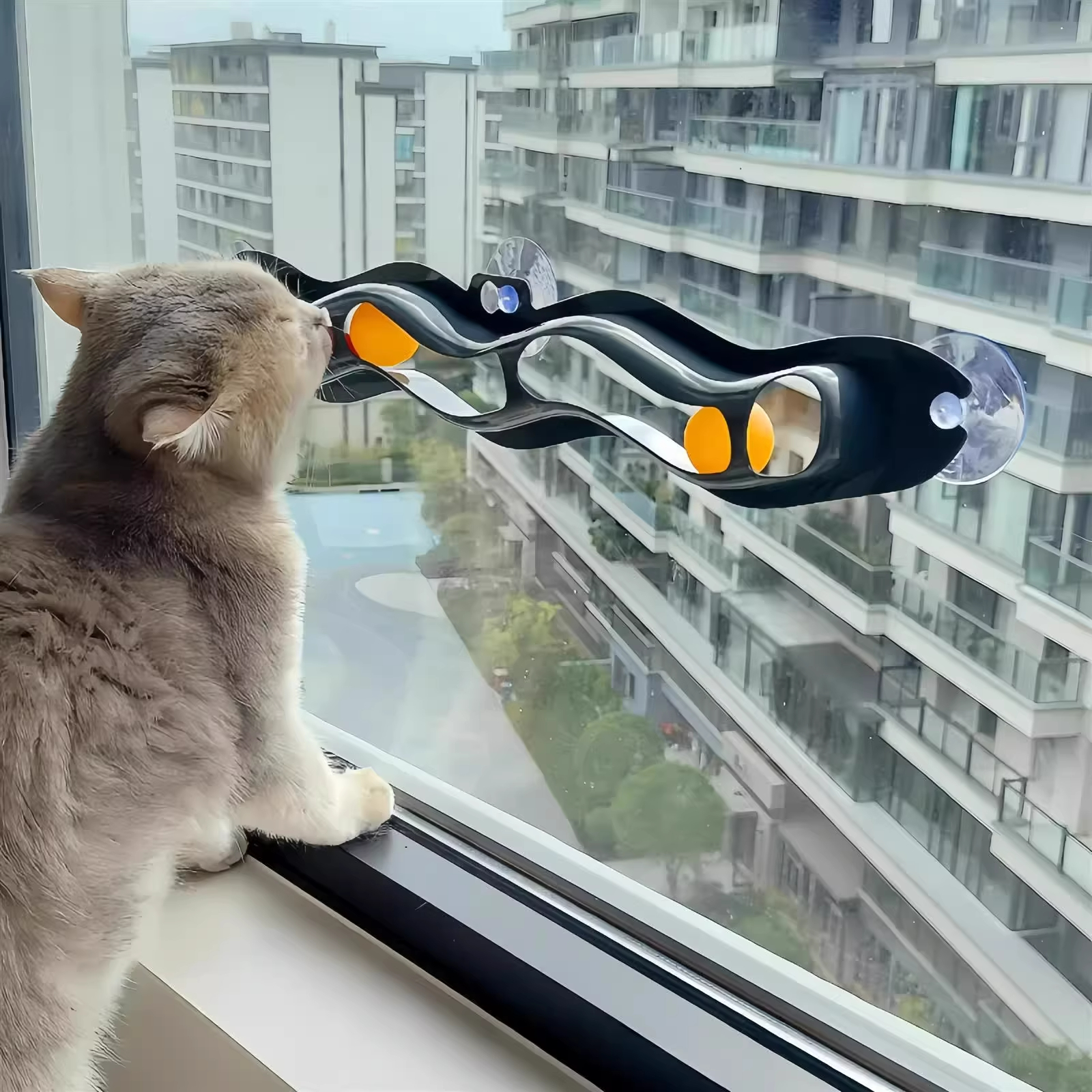  Toy Suction Cup Window Tra Te - Pet Supplies Young recension och pris