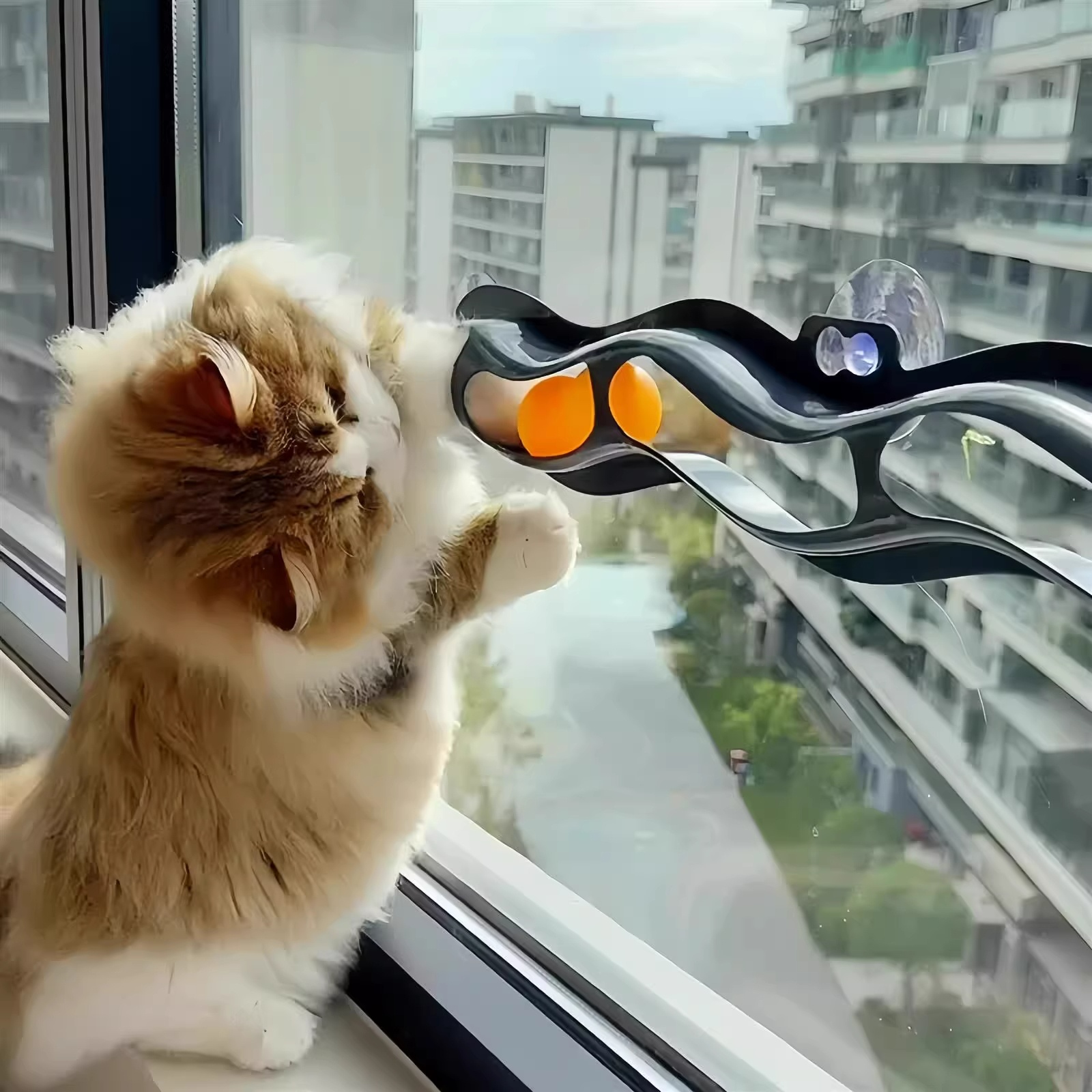  Toy Suction Cup Window Tra Te - Pet Supplies Young recension och pris