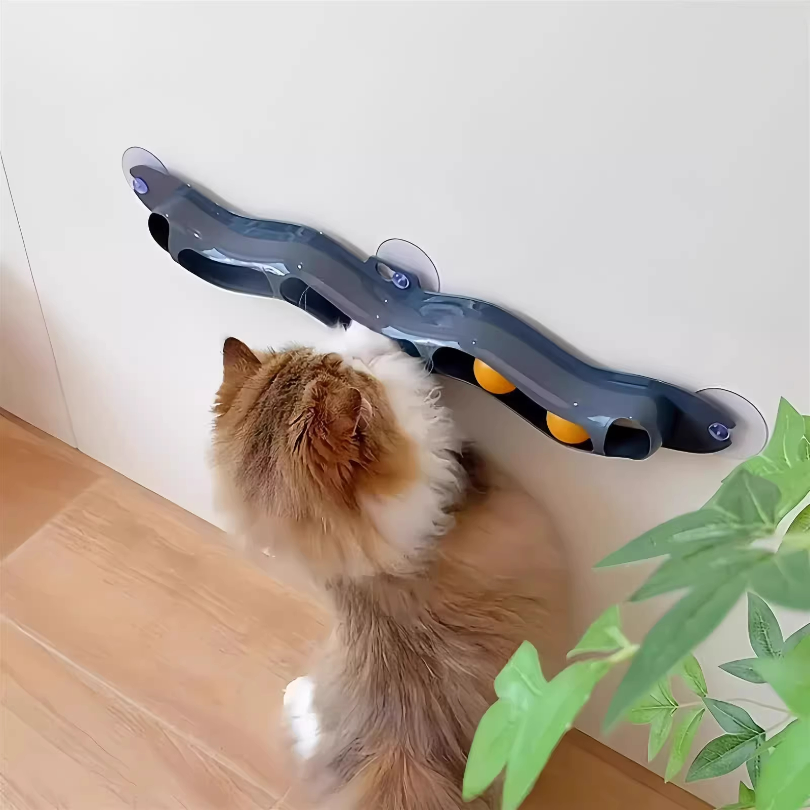  Toy Suction Cup Window Tra Te - Pet Supplies Young recension och pris