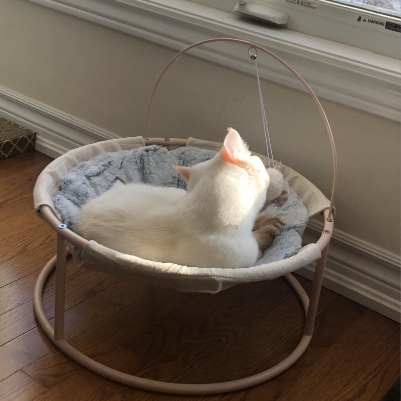 Blue  Hammock Summer Moisture  - Pet Supplies Young recension och pris