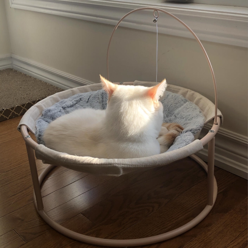 Blue  Hammock Summer Moisture  - Pet Supplies Young recension och pris